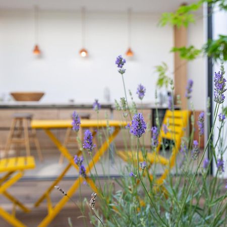 Maison-Loft De Standing Autour De Son Patio فان المظهر الخارجي الصورة